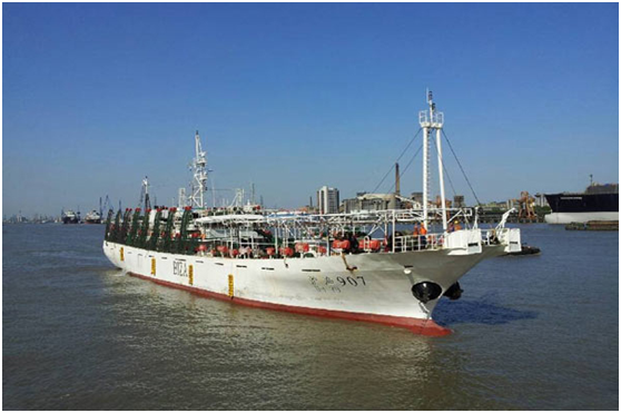 沪渔907大型远洋鱿鱼船